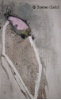 2003_4_1.jpg